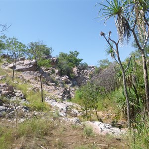 Spring  under this cliff