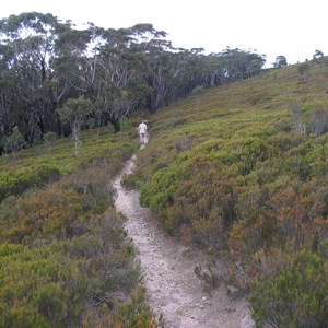 Track conditions