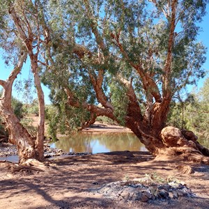 Carawine Upper Pool