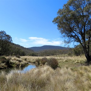 Mt Clear campground