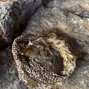 Skull Hole