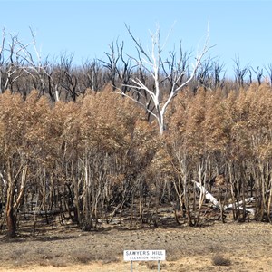 Fire aftermath - Jan 2020