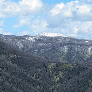Under snow Nov 2022