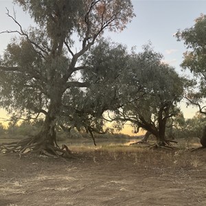 Broadwater Waterhole Qpws Campsite
