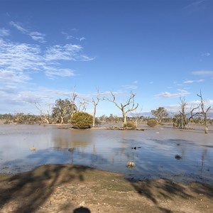 Sturt National Park