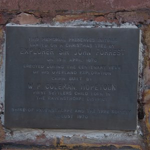 Plaque