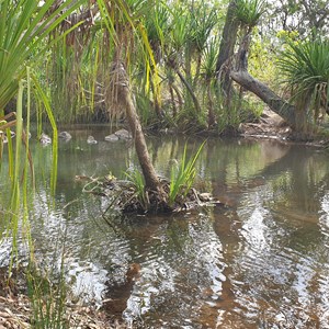 Bell Creek