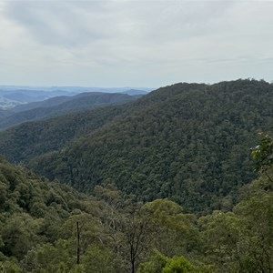 Andrew Laurie Lookout