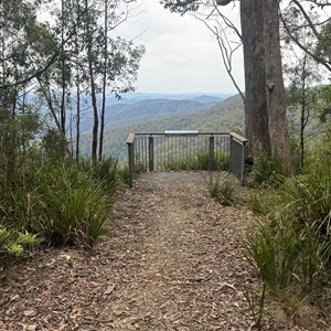 Andrew Laurie Lookout