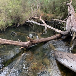 Camp Site