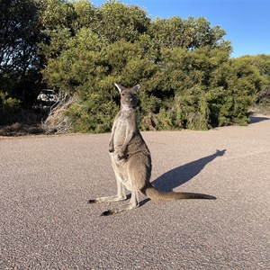 Four Mile Campground