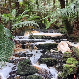 Arthur River, Tasmania 7330