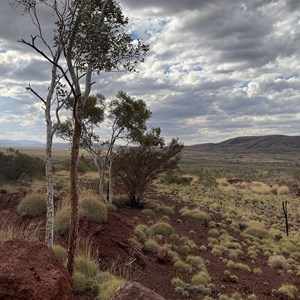 Tiger Eye Creek Campsites