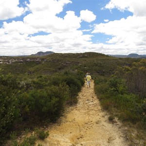 Track to Mt Hay