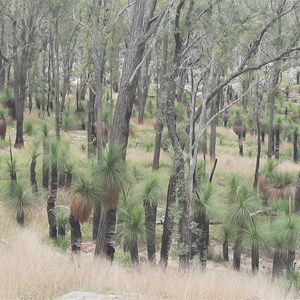 Coomba Falls