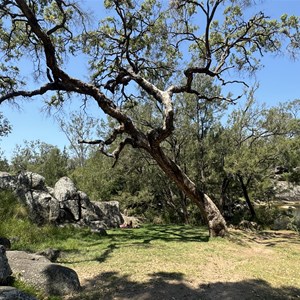 Coomba Falls
