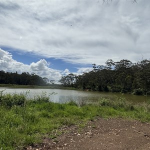 Sheba Dams Campsite