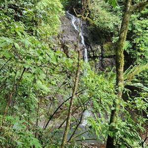 Silver Falls