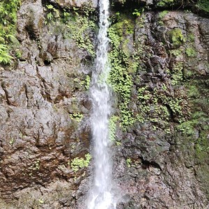 Silver Falls