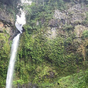 Nandroya Falls