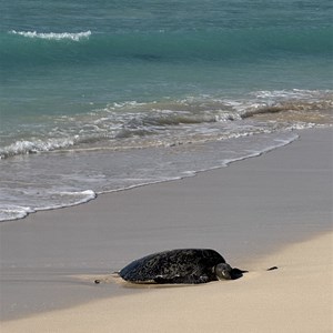 Graveyards Windsurfing And  Kiting Spot