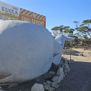 Eucla