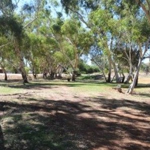 Northampton Caravan Park