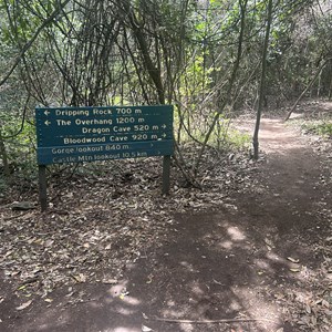 Walk Track Junction