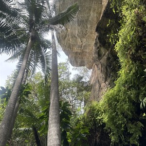 Dripping Rock