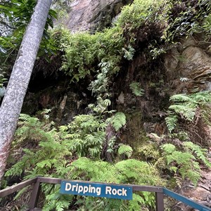 Dripping Rock