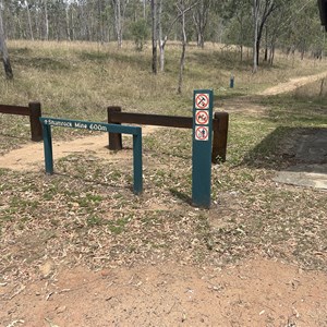 Shamrock Mine Site