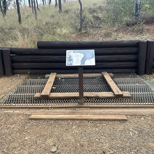 Shamrock Mine Site