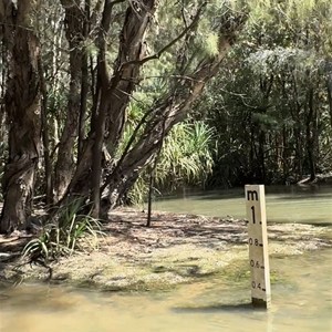 Gregory River Crossing