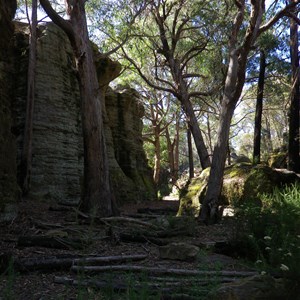 Sculpted sandstone