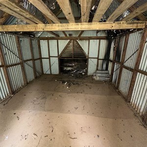 Brophys Hut (approx)