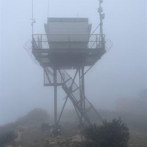 Coree Fire Tower hut (1960s)