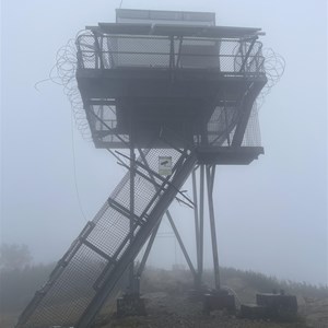 Coree Fire Tower hut (1960s)