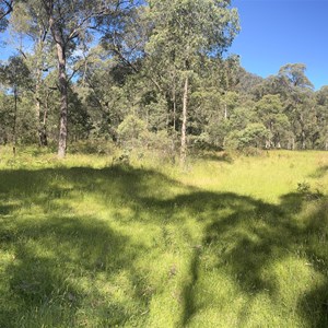 Dangdongadale (Macready's) Hut (1963) (approx)