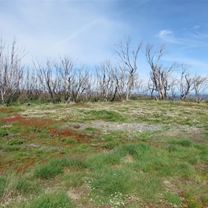 Hut site