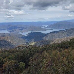 Towermans MT BENAMBRA