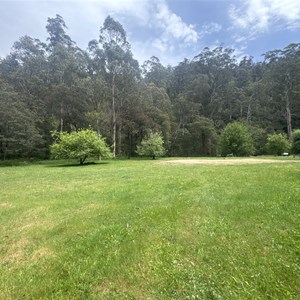 Upper Jamieson Hut (1938)