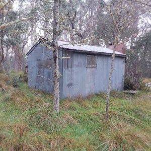 Mountain Ash Top Hut (Chesters)