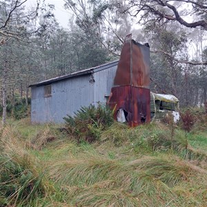 Mountain Ash Top Hut (Chesters)