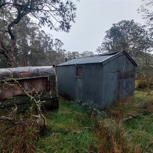 Mountain Ash Top Hut (Chesters)