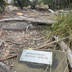 Ruin: Superintendant's Cottage