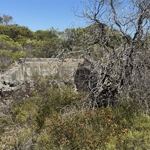 Ruin: Ponton's Homestead