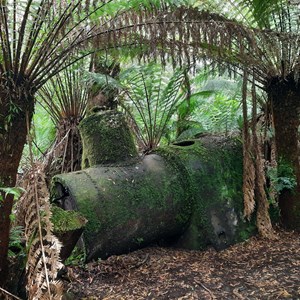 Moss covered boiler
