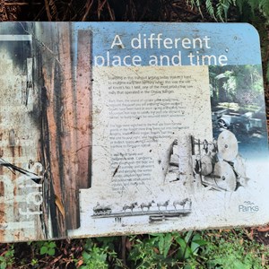 Site details