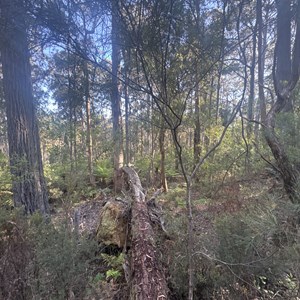 Ruin: Kelly's (approx)