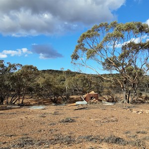 Ruin: Tin Hut